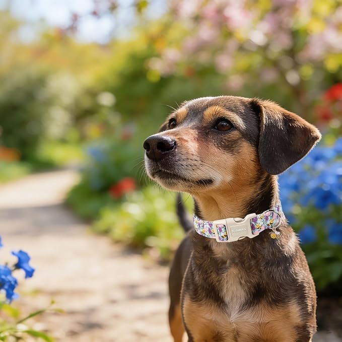 DOGWONG Spring Summer Dog Collar, Bee Floral Dog Collar with Plastic Buckle,Girl Female Dogs Collars for Large Dogs, Neck 42-66 inches