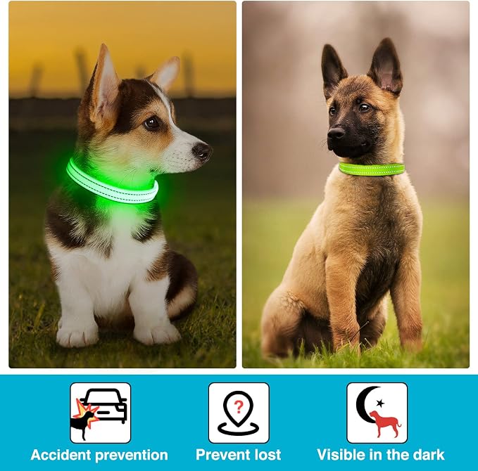 Light Up Dog Collar, Rechargeable USB Collar, Waterproof, Luminous LED Collar, Adjustable, Super Bright, Night Walking for Small Medium Large Dogs, Green, S