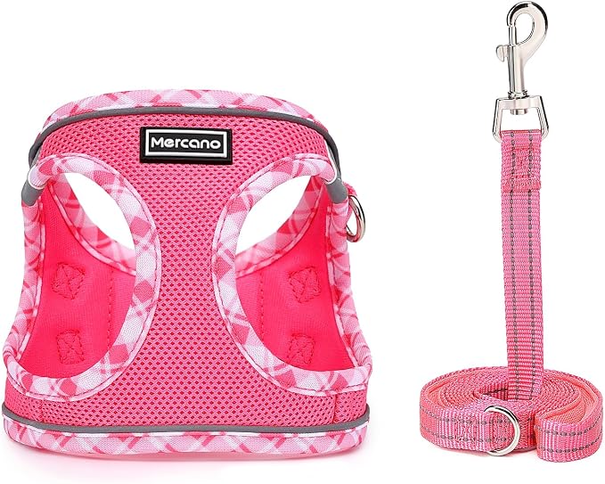 Mercano Soft Mesh Dog Harness and Leash Set, Step-in Reflective Breathable Lightweight Vest Harnesses with Safety Buckle for Small Dogs, Cats (S, Fuchsia)