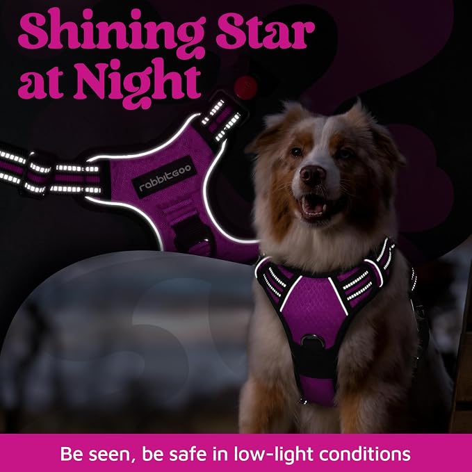 rabbitgoo Dog Harness Medium Sized, 3 Buckles Easy On & Off No Pull Pet Vest, Soft Padded Walking Pet Harness with Control Handle, Adjustable and Reflective, Purple, M