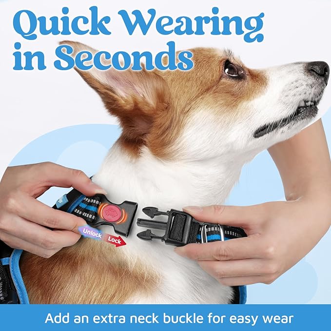 rabbitgoo Dog Harness for Large Dogs, 3 Buckles Easy On & Off No Pull Pet Vest, Soft Padded Walking Pet Harness with Control Handle, Adjustable and Reflective, Black & Sky Blue, XL