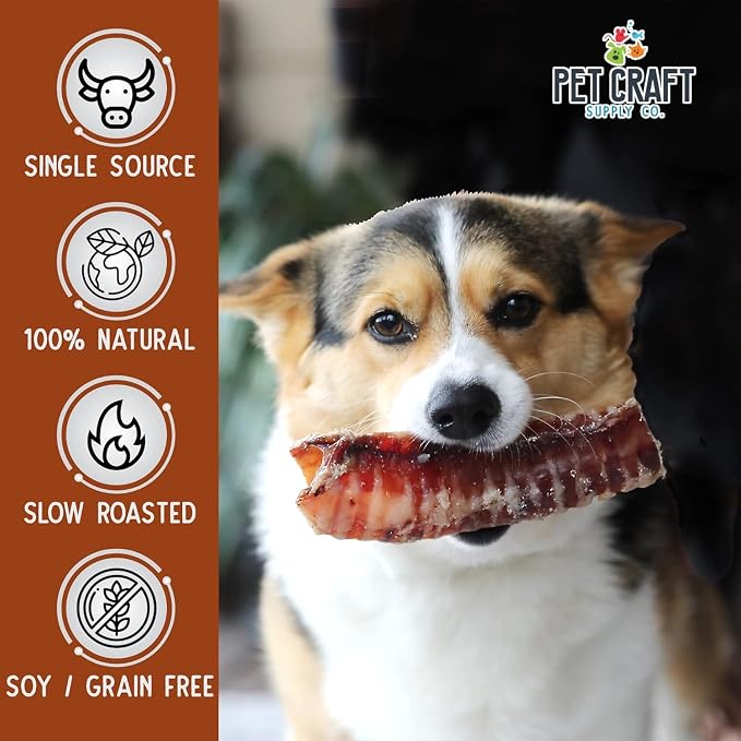 Pet Craft Supply Large 6" Buffalo Trachea Bones Dog Chews Treats 6 Pack for Aggressive Chewers Long Lasting Rawhide Free Premium Slow Roasted for Puppies Small Medium Large Dogs