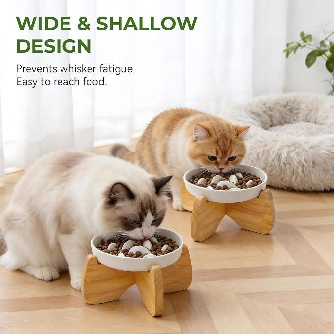 Raised Slow Feeder Cat Bowl with Stand, 6.3'' Wide Ceramic Elevated Shallow Slow Eating Cat Bowl for Dry/Wet Food, Anti-Vomiting Pet Puzzle Feeder, Whisker Friendly, Dishwasher Safe (2 Pack)