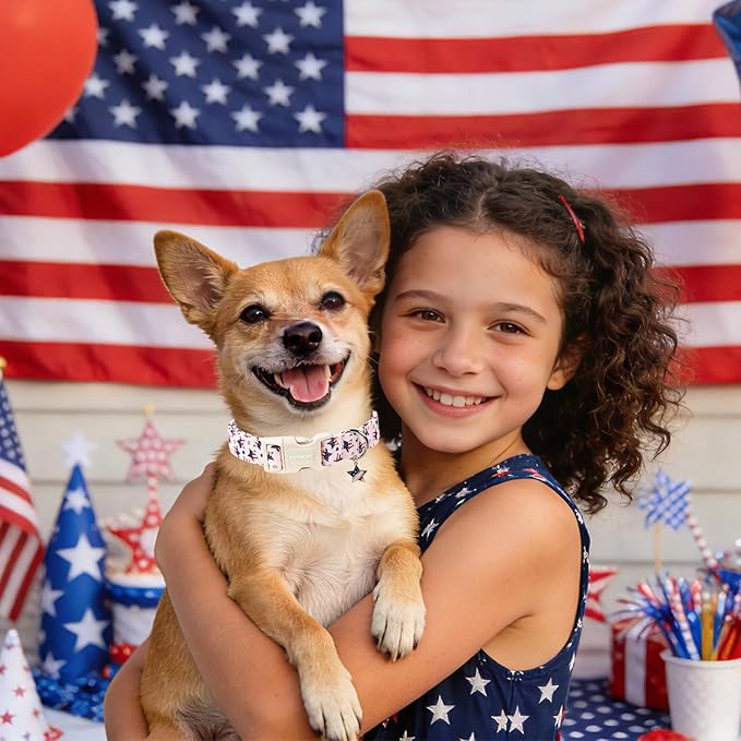 4th of July Independence Day Dog Collars for Small Dogs, Adjustable Breathable Pink Blue American Flag Star Dog Collar for Small Dogs, S