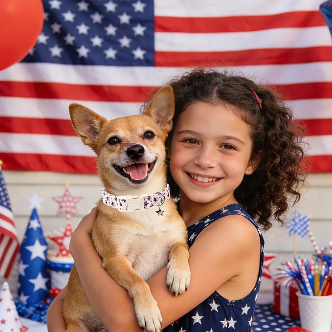 4th of July Independence Day Dog Collars for Large Dogs, Adjustable Breathable Pink Blue American Flag Star Dog Collar for Small Dogs, XL