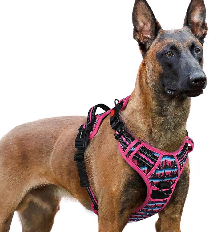 rabbitgoo Dog Harness for Large, No Pull Easy On & Off with 3 Buckles Pet Harness, Adjustable Soft Walking Vest with 2 Clips and Handle, Reflective for Extra Large Dogs, Mountain Rose, XL