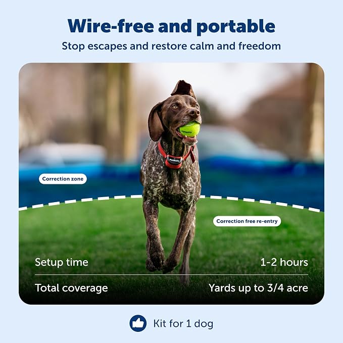 PetSafe Stay & Play Wireless Pet Fence for Stubborn Dogs - No Wire Circular Boundary, Secure 3/4-Acre Yard, for Dogs 5lbs+, America's Safest Wireless Containment System