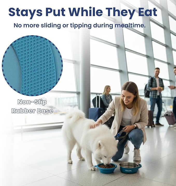 PawsPik 2-in-1 Travel Dog & Cat Bowl – Collapsible BPA-Free Silicone & 18/8 Stainless Steel, Portable & Non-Slip with Handle, Easy to Clean, Food & Water Bowl for On-the-Go Pets (Midnight Summit Blue)