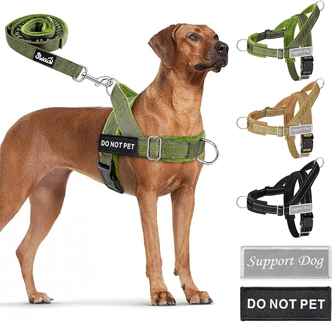 Lukovee No Pull Dog Harness and Leash Set - Adjustable Soft Padded Vest with Front Clip for Easy Control, Reflective Durable Harness for Safe Daily Training Walking for Medium Large Dogs (XL, Green)