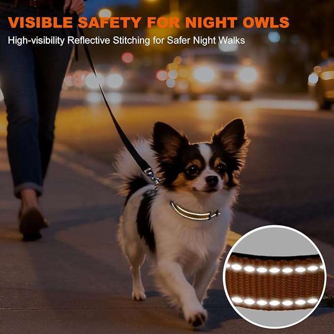 Taglory Reflective Dog Collar for Puppies with Escape-Proof Locking Buckle, Soft Neoprene Padded and Upgraded Zinc Alloy Ring, Adjustable for Chihuahua Yorkie, Tan,XS