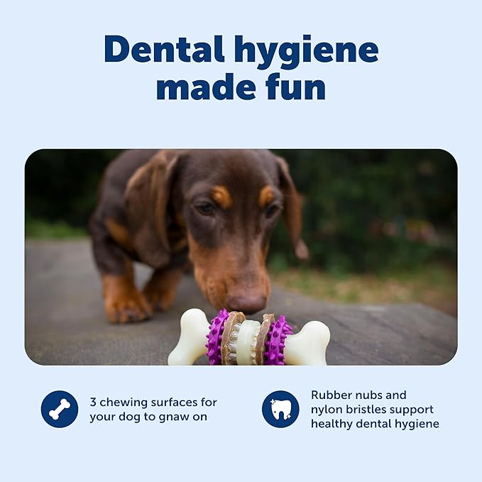 PetSafe Busy Buddy Bristle Bone Dog Chew Toy - Treat Holding Toothbrush Toy for Hard Chewers - Helps Keep Your Dog's Teeth Clean - Durable, Interactive - Purple, Small