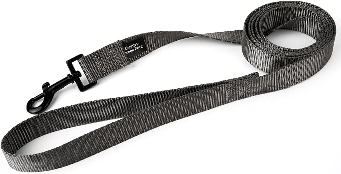 Country Brook Petz - Everyday Nylon Dog Leash - Strong, Durable, Solid Color Leash with Easy to Use Snap - 25+ Colors (1 Inch Wide, 4 Foot, Charcoal)