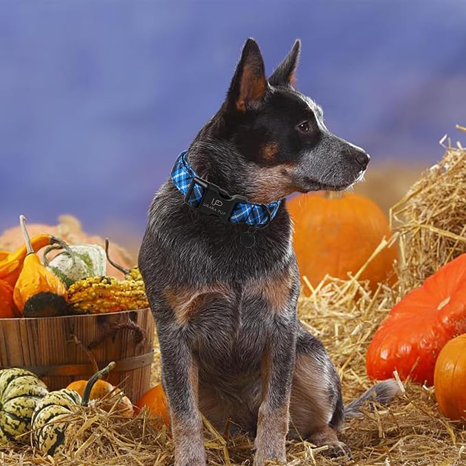 Dog Collar, Autumn Cotton Collar for Puppy Girl Dog or Cat, Holiday Blue Plaid Collar with Lightweight Plastic Buckle, Adorable Pet Collar