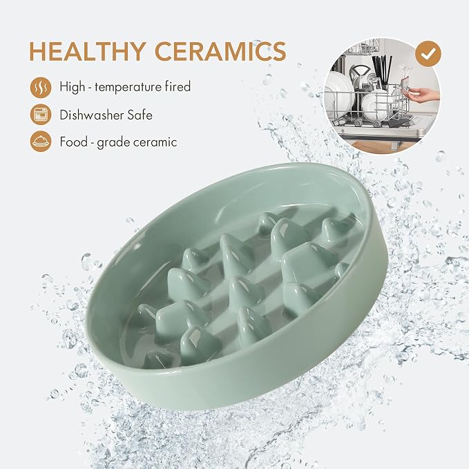 Havniva 8.2” Raised Slow Feeder Dog Bowls, 1.6 Cups Ceramic Dog Bowl Slow Feeding for Medium Breed, Elevated Puzzle Dog Food Bowl with Wooden Stand Non-Slip Anti-Gulping & Anti-Choking