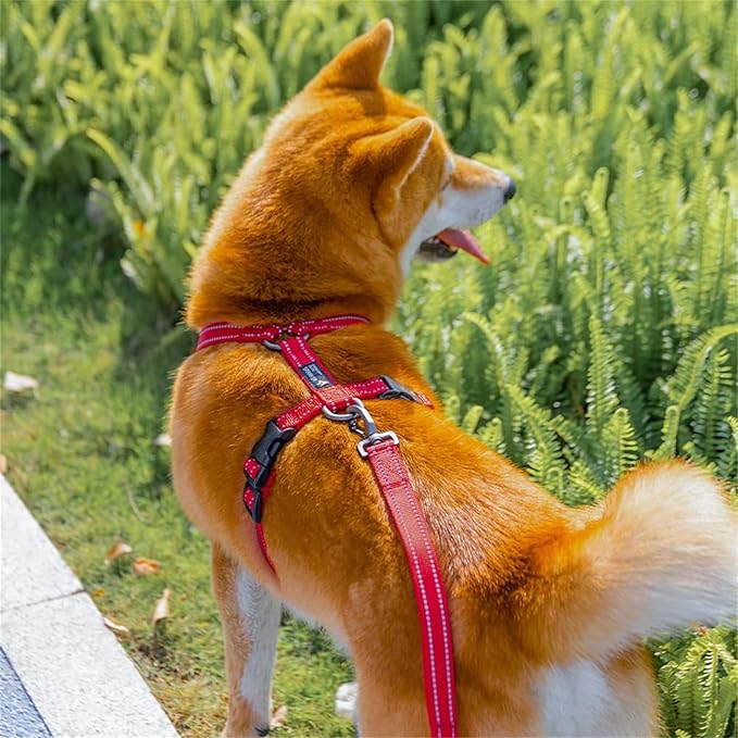 EXCELLENT ELITE SPANKER No Pull Dog Harness Reflective Nylon Vest L-Shaped Adjustable Easy Pet Harness for Small Medium Large Breeds Dogs Walking Training Black Red(Pink-M)
