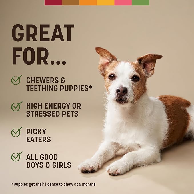 Earth Animal No Hide Chews - Long Lasting Rawhide Free Small Dog Chews Rolls, Pork - 6 Count