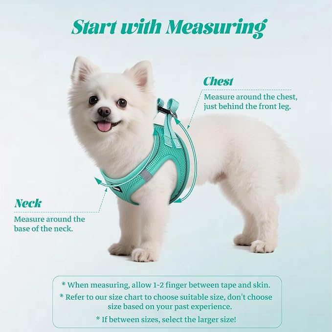 YIMEIS Dog Harness and Leash Set, No Pull Soft Mesh Pet Harness, Reflective Adjustable Puppy Vest for Small Medium Large Dogs, Cats (Tiffany Blue, Small (Pack of 1)