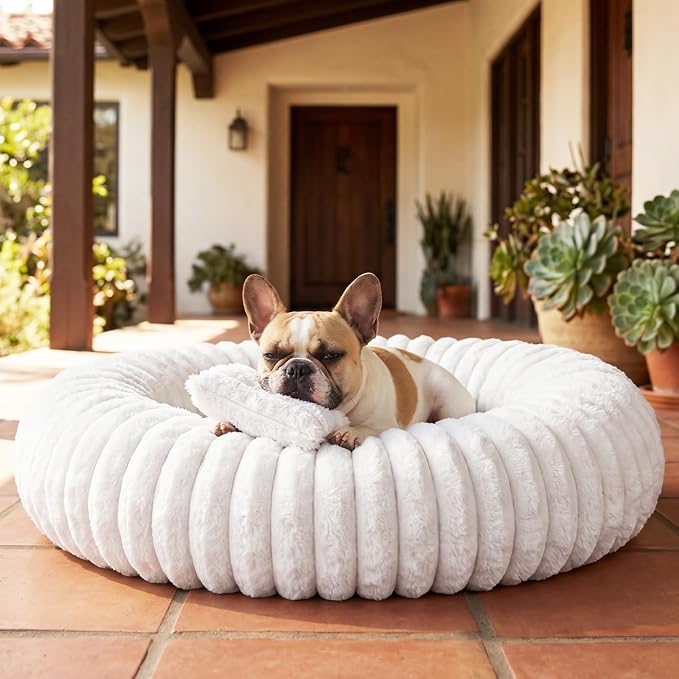 Donut Dog Bed for Small & Medium Dogs, Pet Bed with Non-Slip Bottom, Winter Comfort Dog Beds for Puppies, Washable & Portable Egg Tart Shape (M) Medium Dog Bed self Warming
