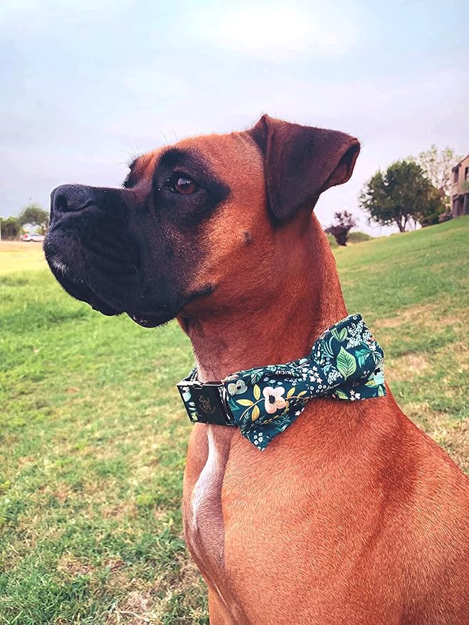 Elegant little tail Dog Collar with Bow, Flower Pattern Soft Comfy Bowtie Dog Collar Adjustable Pet Gift Collars for Small Medium Large Dogs