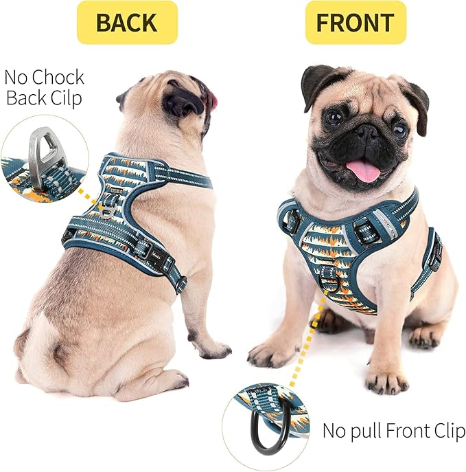 HEELE Dog Harness, No Pull Adjustable Padded Reflective Harness for Small Medium Large Dogs with Handle for Walking Training, Flower-Sunset Valley, XL