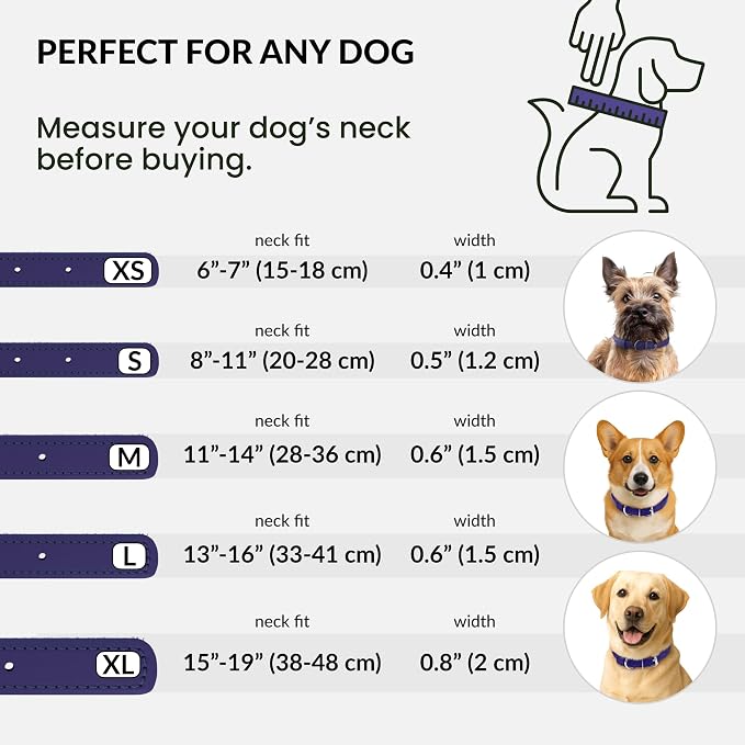 CollarDirect Reflective Rolled Leather Dog Collar, Soft Padded Round Puppy Collar, Handmade Genuine Leather Collar Dog Small Large Cat Collars 13 Colors (13-16 Inch, Purple Reflective)