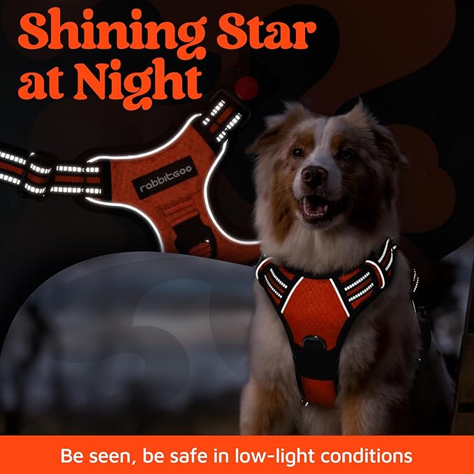 rabbitgoo Dog Harness Medium Sized, 3 Buckles Easy On & Off No Pull Pet Vest, Soft Padded Walking Pet Harness with Control Handle, Adjustable and Reflective, Orange, M