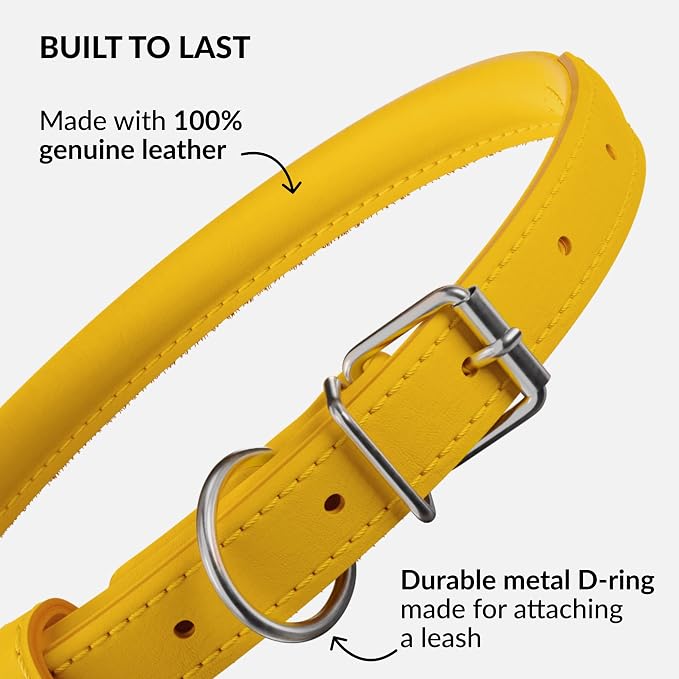 CollarDirect Rolled Leather Dog Collar, Soft Padded Round Puppy Collar, Handmade Genuine Leather Collar Dog Small Large Cat Collars 13 Colors (6 Inch, Yellow Smooth)