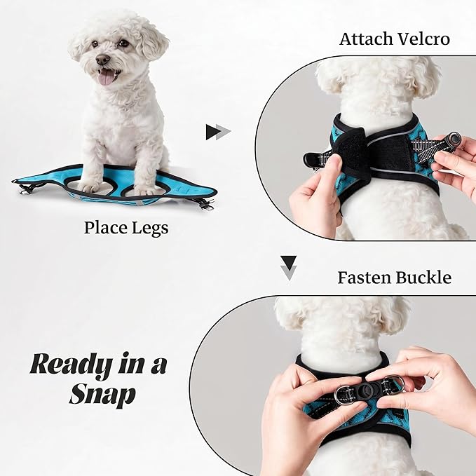 YIMEIS Dog Harness and Leash Set, No Pull Soft Mesh Pet Harness, Reflective Adjustable Puppy Vest for Small Medium Large Dogs, Cats (Blue, Small (Pack of 1))