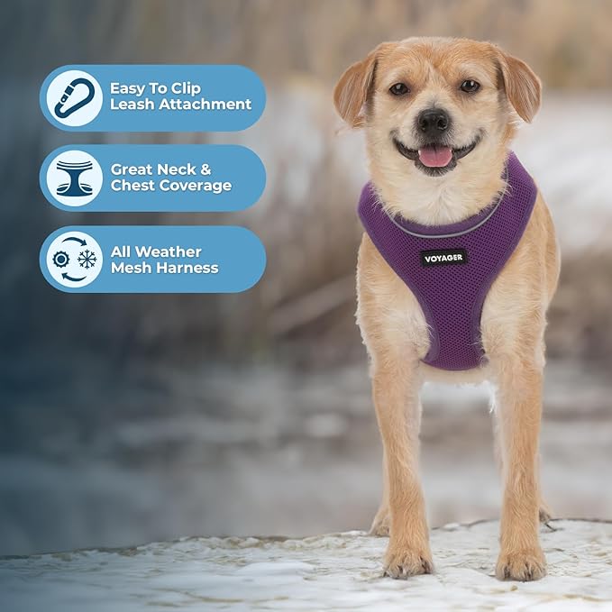 Best Pet Supplies Voyager Aerolite Over the Head Dog Harness, No Pull Breathable Air Mesh Vest, Quick Dry with Reflective Stitching, Adjustable Escape Resistant Harness - Purple, Small
