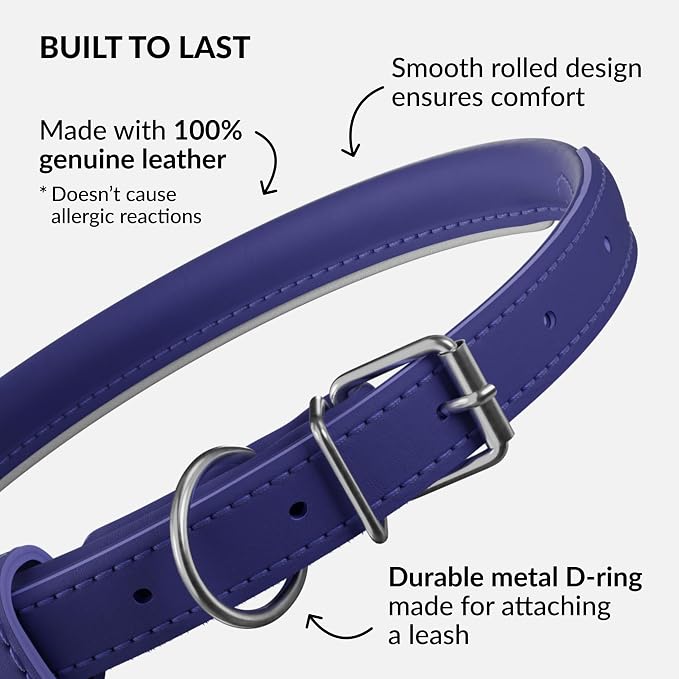CollarDirect Reflective Rolled Leather Dog Collar, Soft Padded Round Puppy Collar, Handmade Genuine Leather Collar Dog Small Large Cat Collars 13 Colors (6-7 Inch, Purple Reflective)