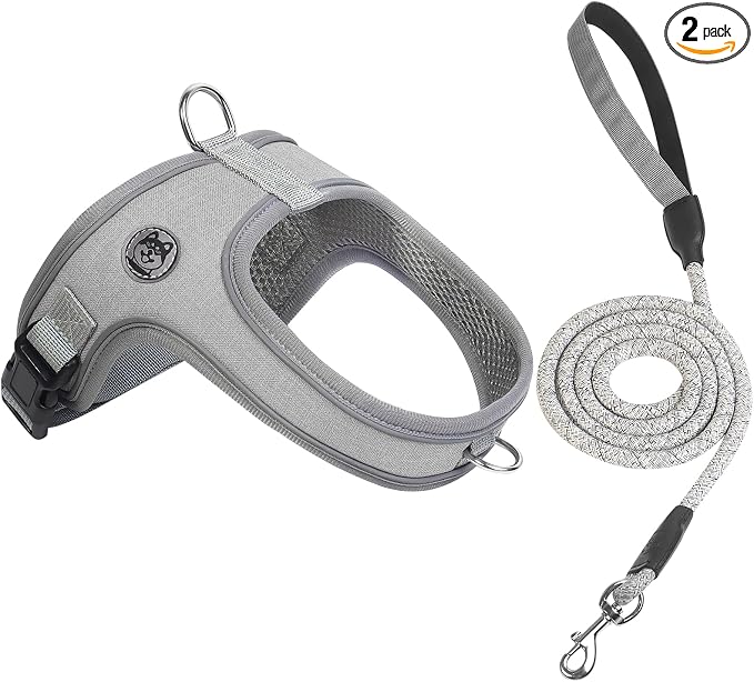 Dog Harness and Leash Set, No Pull Saddle Style Pet Harness, Breathable Mesh Adjustable Reflective Dog Vest for Dogs and Cat Medium Small Harness 2 D-Rings (Grey, XS)