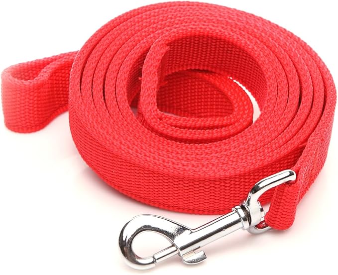 Strong Nylon Dog Leash with 2-Layer, 4 FT/ 6 Feet Long, 1 Inch Wide for Medium Large Dogs (1'' x 7 FT, Red)
