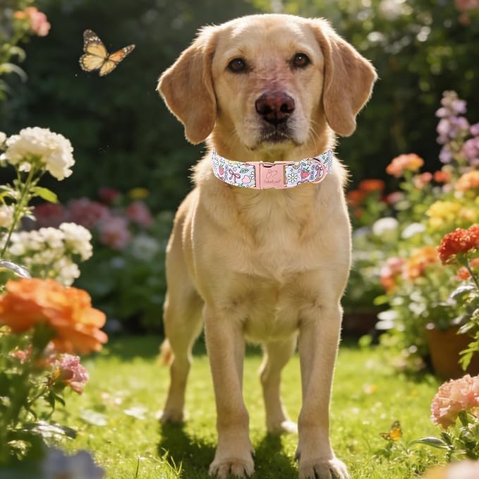 Cute Dog Collar, Spring Summer Pastel Dog Collars, Fruit Garden Dream Puppy Collar, Adjustable Heavy Duty Pet Collar for Small Medium Large Dogs with Metal Buckle XS