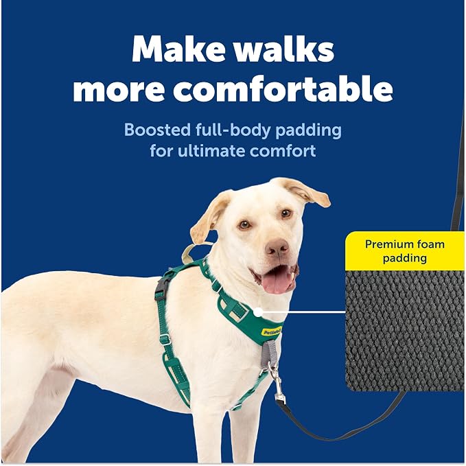 PetSafe Easy Walk Comfort No-Pull Dog Harness Full-Body Padding - Better Walks on the First Use - 5 Points of Adjustment Large, Green