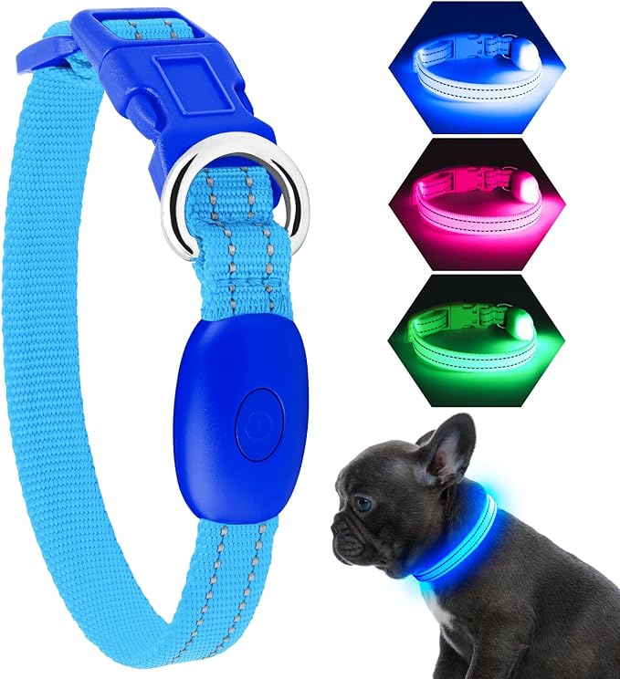 Light Up Dog Collar, Rechargeable USB Collar, Waterproof, Luminous LED Collar, Adjustable, Super Bright, Night Walking for Small Medium Large Dogs, Blue, S