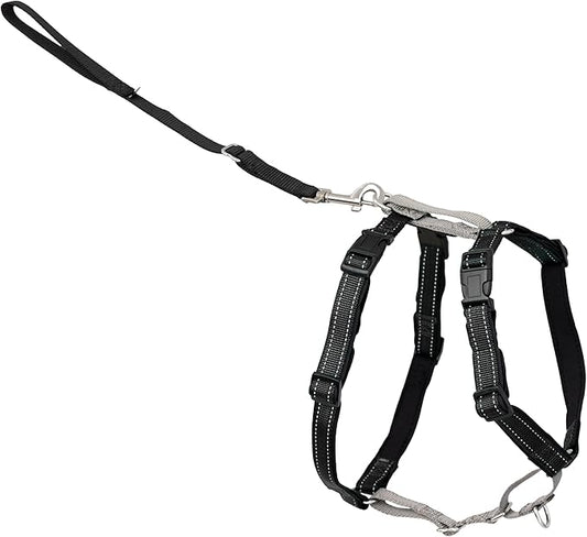PetSafe 3 in 1 Dog Harness - No Pull Solution for Dogs - Reflective Dog Harness - Front D-Ring Clip Helps Stop Pulling - Comfortable Padded Straps - Top Handle Enhances Control - Black - Extra Small