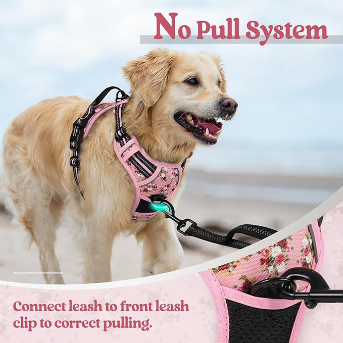 rabbitgoo Dog Harness No Pull with 2 Leash Clips, Adjustable Soft Padded, Reflective Oxford No Choke Pet Vest with Easy Control Handle for Small Dogs, Pink Rose, S