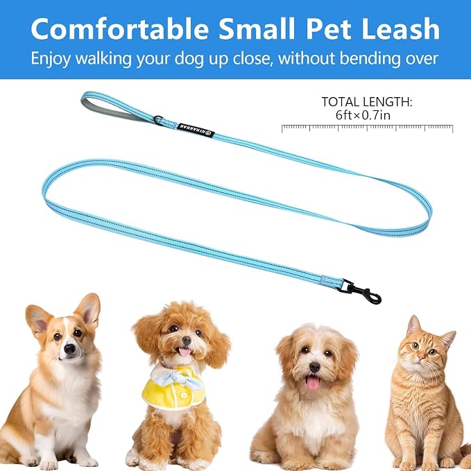Reflective 6 FT Dog Leash, Premium Traditional Style Puppy Leash with Easy to Use Collar Hook for Small, Medium, and Large Breed Puppies (Blue, 3/4 in x 6 ft)
