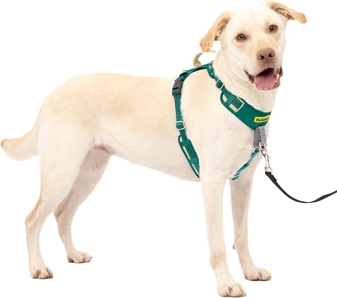 PetSafe Easy Walk Comfort No-Pull Dog Harness Full-Body Padding - Better Walks on the First Use - 5 Points of Adjustment Large, Green