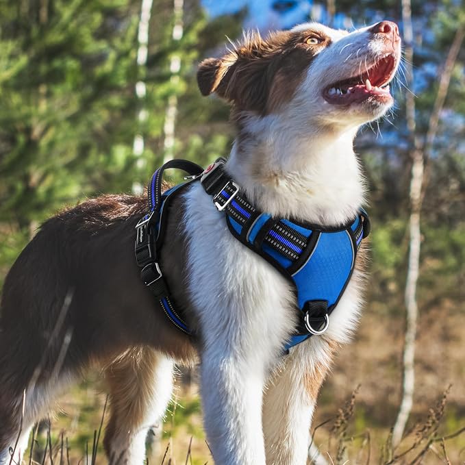 rabbitgoo Dog Harness Medium Sized, 3 Buckles Easy On & Off No Pull Pet Vest, Soft Padded Walking Pet Harness with Control Handle, Adjustable and Reflective, Royal Blue, M
