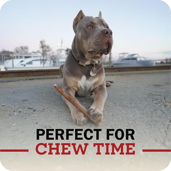 Redbarn Pet Products All Natural 8"-12" Bully Sticks for Medium/Large Dogs - Healthy Long Lasting Chews Variety Party Pack - 100% Beef Single Ingredient Low Odor Rawhide Free - 1lb