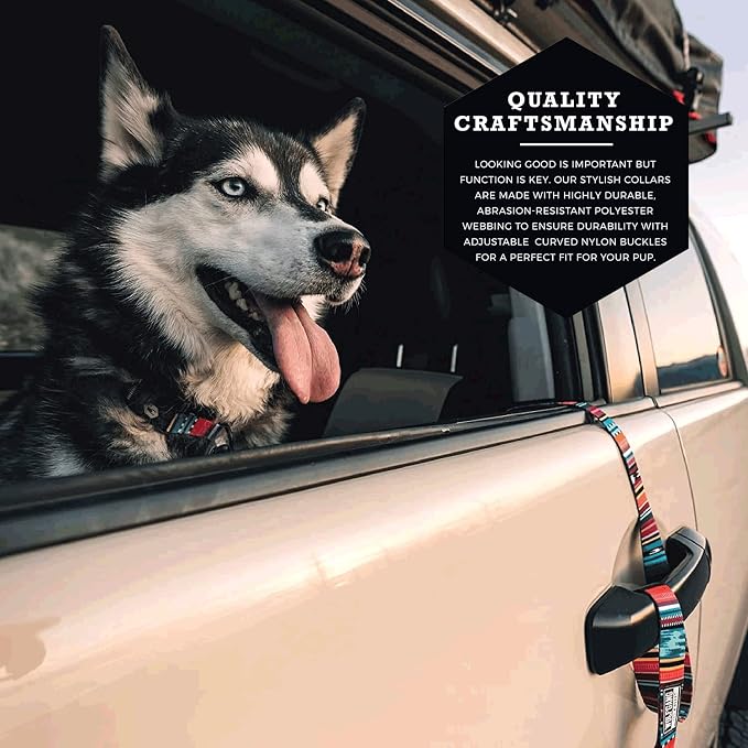 Wolfgang Heavy Duty, Adjustable Dog Collar with Quick Release Nylon Buckle for Walking & Training, Quetzal Print, Small