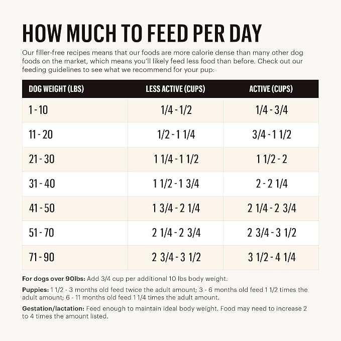 The Honest Kitchen Whole Food Clusters Grain Free Chicken Dry Dog Food, 1 lb Trial Pouch (Pack of 2)