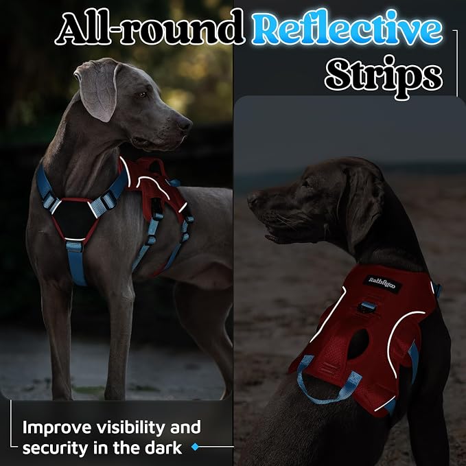 rabbitgoo Escape Proof Dog Harness Large Dogs, Soft Padded Full Body Pet Harness, Reflective Adjustable No Pull Vest with Lift Handle and Leash Clip for Walking Hiking Training, Blue & Red, XL