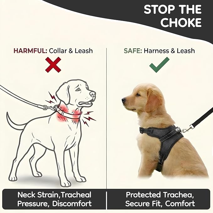 No Pull Reflective Adjustable Dog Harness with Handle- Comfortable Soft All Weather Mesh, Easy On Puppy Harness for Small Medium and Large Dogs (Black) Small