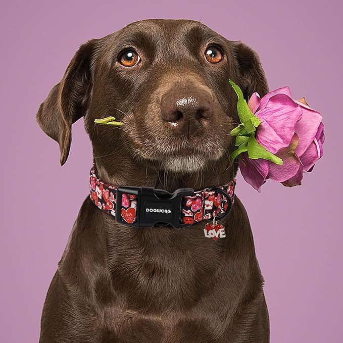 DOGWONG Valentine Dog Collar- Cute Red Heart Dog Collars Adjustable Durable Designer Valentine’s Day Dog Collar for Small Medium Large Dogs XS