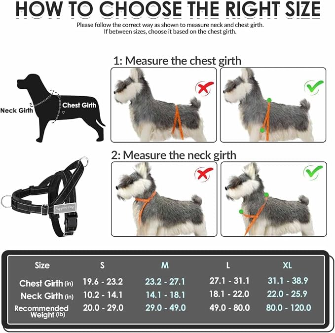 Lukovee No Pull Dog Harness and Leash Set - Adjustable Soft Padded Vest with Front Clip for Easy Control, Reflective Durable Harness for Safe Daily Training Walking for Medium Large Dogs (S, Black)