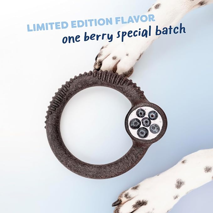 Benebone Limited Edition Blueberry Small 4-Pack Dog Toys for Aggressive Chewers, Durable Dog Bones, Made in USA, Dog Toys for Small Dogs Under 30 lbs