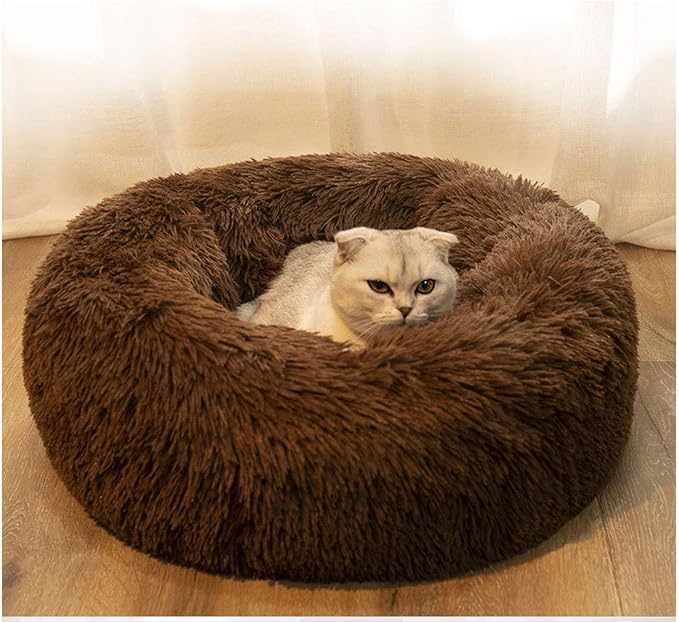 Modern Soft Plush Round Pet Bed for Cats or Small Dogs, Mini Medium Sized Dog Cat Bed Self Warming Autumn Winter Indoor Snooze Sleeping Cozy Kitty Teddy Kennel (20'' D x 8'' H, Chocolate)