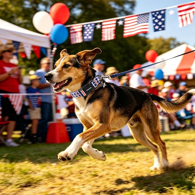 DOGWONG American Flag Dog Collar for Large Dogs, Adjustable Patriotic Independence Dog Collars, Fourth of July Dogs Collars for Medium Lrage Dogs, Neck 39-60 inches